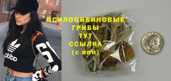 сатива Балахна