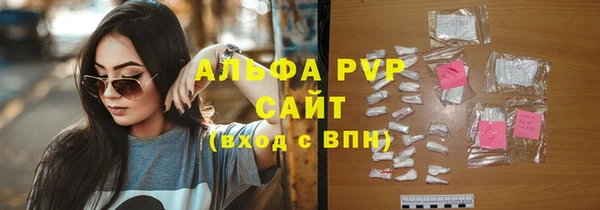 сатива Балахна