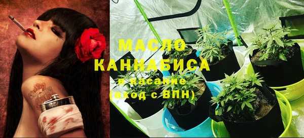 сатива Балахна