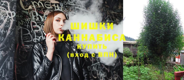 сатива Балахна