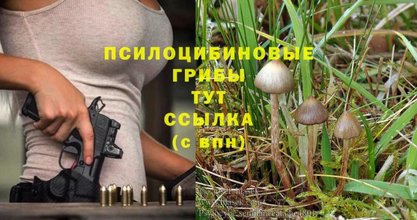 трава Баксан