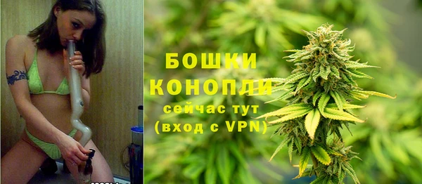 сатива Балахна