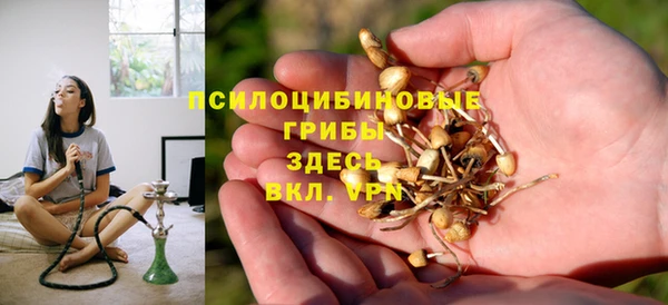 сатива Балахна