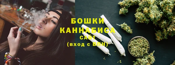 сатива Балахна