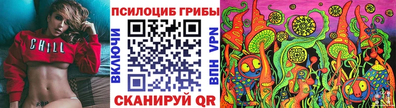 Псилоцибиновые грибы Psilocybe цены Бахчисарай